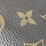 Louis Vuitton Pochette Félicie Monogram… — фото 18