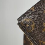 Louis Vuitton Pochette Félicie Monogram… — фото 21