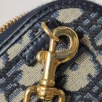 Dior 30 Montaigne Oblique CD — фото 13