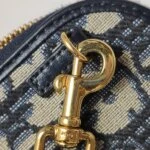 Dior 30 Montaigne Oblique CD (Диор) — фото 13