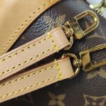 Louis Vuitton Alma BB Monogram — фото 17