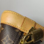 Louis Vuitton Alma BB Monogram — фото 22