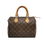 Louis Vuitton Speedy 25 Monogram — миниатюра 1
