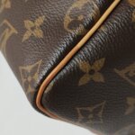 Louis Vuitton Speedy 25 Monogram — фото 13