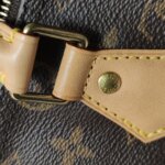 Louis Vuitton Speedy 25 Monogram — фото 15