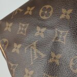 Louis Vuitton Speedy 25 Monogram — фото 17