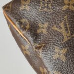 Louis Vuitton Speedy 25 Monogram — фото 18