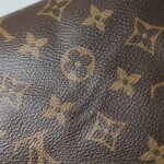 Louis Vuitton Speedy 25 Monogram — фото 19