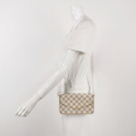 Louis Vuitton Pochette Félicie — фото 2