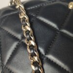 Chanel Flap Bag — фото 12