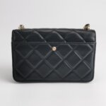 Chanel Flap Bag — фото 5