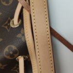 Louis Vuitton NOEBB Monogram — фото 15