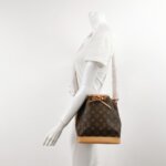 Louis Vuitton NOEBB Monogram — фото 2