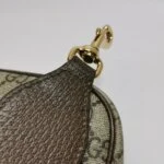 Gucci Ophidia G (Гуччи) — фото 11
