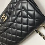 Chanel Flap Bag (Шанель) — фото 22