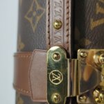 Louis Vuitton Papillon Trunk S-lock — фото 23