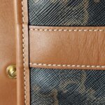 Celine Triomphe Canvas logo — фото 13