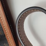 Celine Triomphe Canvas logo — фото 19