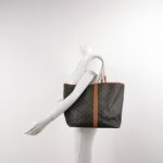 Celine Triomphe Canvas logo — фото 2