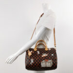 Louis Vuitton Grace Coddington Speedy 30 — фото 2