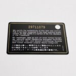 Chanel Leboy C — фото 9