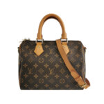 Louis Vuitton Speedy 25 Monogram — миниатюра 1