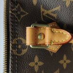 Louis Vuitton Speedy 25 Monogram — фото 14