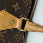 Louis Vuitton Speedy 25 Monogram — фото 15