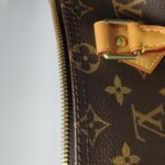 Louis Vuitton Speedy 25 Monogram — фото 20