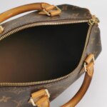 Louis Vuitton Speedy 25 Monogram — фото 7