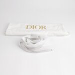 Dior Saddle Oblique — фото 10