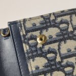 Dior Saddle Oblique — фото 13