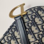 Dior Saddle Oblique — фото 15