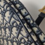 Dior Saddle Oblique — фото 17