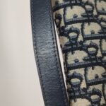 Dior Saddle Oblique — фото 20