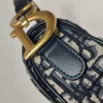 Dior Saddle Oblique — фото 21