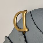 Dior Saddle — фото 15