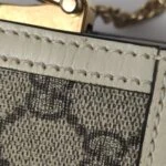 Gucci Ophidia GGG (Гуччи) — фото 13