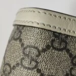 Gucci Ophidia GGG (Гуччи) — фото 14