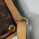 Louis Vuitton NOEBB Monogram — фото 10