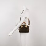 Louis Vuitton Speedy 20 Monogram — фото 2