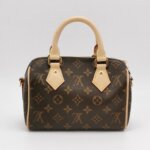 Louis Vuitton Speedy 20 Monogram — фото 5