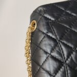 Chanel 2.55 Flag Bag — фото 17