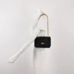 Chanel 2.55 Flag Bag (Шанель) — фото 2