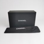 Chanel 2.55 Flag Bag — фото 9