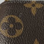 Louis Vuitton Pochette Félicie Monogram — фото 20