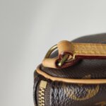 Louis Vuitton Speedy Nano Monogram — фото 13