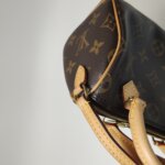 Louis Vuitton Speedy Nano Monogram — фото 18