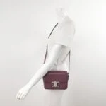 Celine Triomphe Teen Logo (Селин) — фото 2