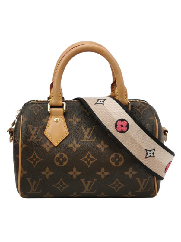Louis Vuitton Speedy 20 Monogram